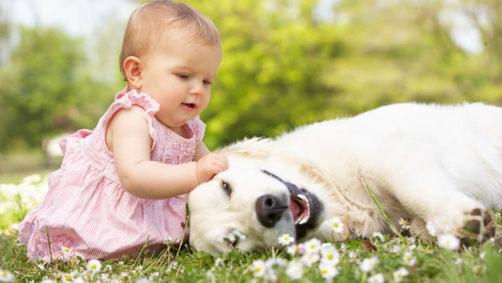 В организм любого ребенка глисты проникают очень легко, особенно если малыш любознательный, тесно общается с животными и не особо соблюдает правила личной гигиены 